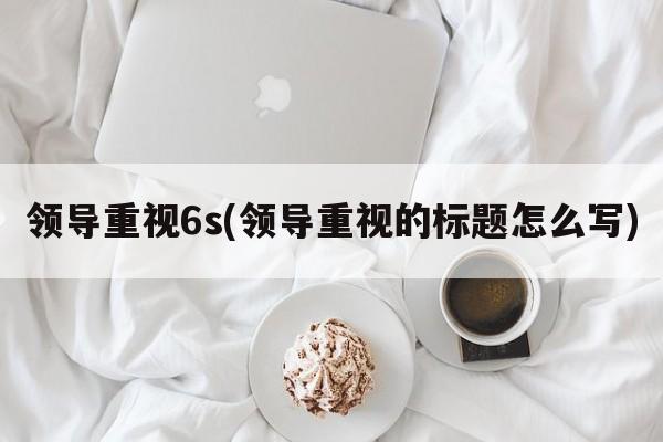 领导重视6s(领导重视的标题怎么写)